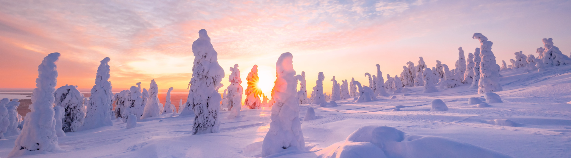 SB Lakshmi Travel   Finland 2 Banner Site