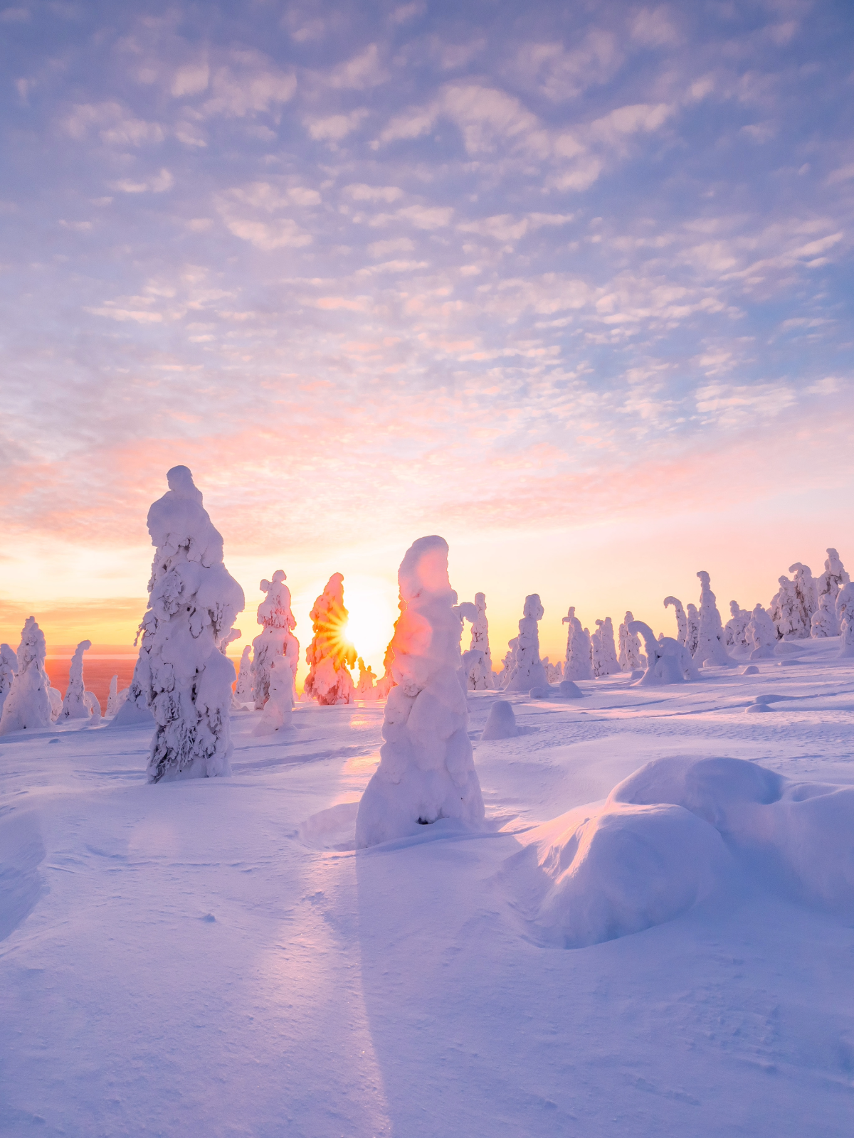 SB Lakshmi Travel   Finland 3 Banner  Site M